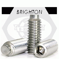 HALF DOG SOCKET SET SCREWS, STAINLESS STEEL 18 8 (INCH)