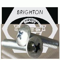 Phillips Truss Machine Screw 1/4-20 X 3/4\