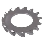 Metric A2 (18 8) External Serrated Tooth, DIN 6798A