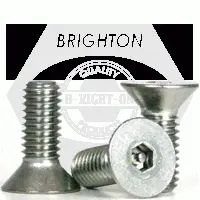 Flat Socket Cap, Tamper Resistant, Stainless Steel 18 8 