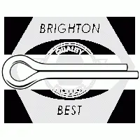 Stainless 18 8 Clevis Pin & Cotter Pin (Inch)