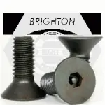 Flat Socket Cap, Tamper Resistant, Thermal Black Oxide, Alloy 