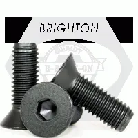 Flat Socket Head Cap Screw 10-32X1 Alloy