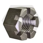 Slotted Hex Nuts