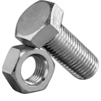 Stainless Steel Nut and Bolt