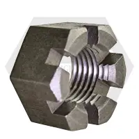 Slotted Hex Nuts