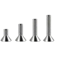 Socket Cap Screw