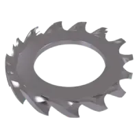 Metric A2 (18 8) External Serrated Tooth, DIN 6798A