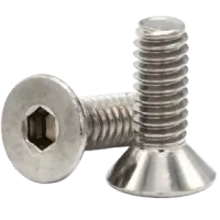 Flat Socket Cap, Stainless Steel 18 8