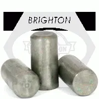 Stainless 316 Dowel Pins