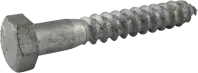 Hex Lag Screw, Hdg (Inch)