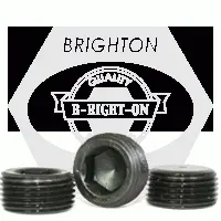 Hex Socket Pipe Plug 1/8 Npt Flush Seal Alloy Steel Black Oxide