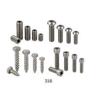 316 Stainless Steel Screws