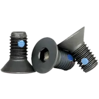 Flat Socket Cap, Nylon Pellet, Black Alloy