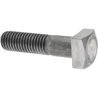 Square Head Bolt