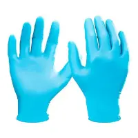 Nitrile Gloves, Large, 5 Mil, Powder-Free (100 Pack)