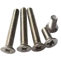 Monel Screws