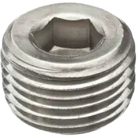 Pipe Plugs, Dry Seal 3/4 Taper, Stainless Steel 18 8 (Inch)