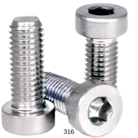Stainless 316 Low Head Socket Cap Screw