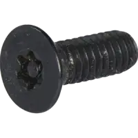 Flat Socket Cap, Tamper Resistant, Thermal Black Oxide, Alloy (Inch)