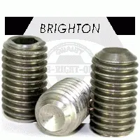 Cup Pt Set Screw 1/4-20X3/4 Monel