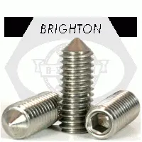 Stainless 18 8 Cone Point Socket Set Screw (Inch)