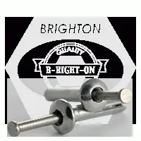 Hammer Drive Anchor Mushroom Head Zinc Alloy With 304 Stainless Steel Nails (Inch)