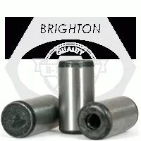 Dowel Pins, Through Hardened, Pull Out, Plain, Alloy 