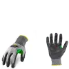 G03231