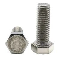 Fully Threaded Stainless Steal Hex cap Screw