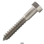Stainless 316 Lag Screw