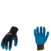 G03161