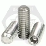 Flat Point Socket Set Screws, Stainless Steel 18 8 