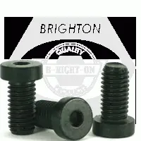 Metric 10.9 Low Head Socket Cap, Din 7984, Thermal Black Oxide, Alloy