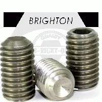 Stainless 316 Cup Point Socket Set Screw (Inch)