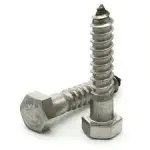 Stainless 18 8 Hex Lag Screw 