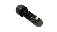 Socket Head Cap Screws, Nylon Pellet, Thermal Black Oxide, Alloy (Inch)
