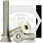 Flat Socket Cap, Stainless Steel 18 8 